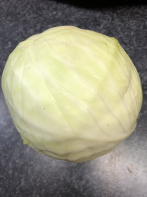 White Cabbage Medium