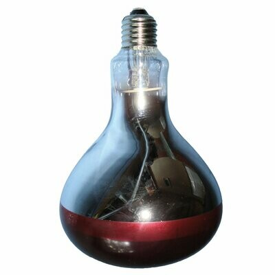 Intelec Infra Red Bulb 150 Watt (for Heat Lamp)