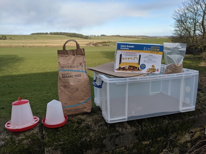 Chick Brooder Kit