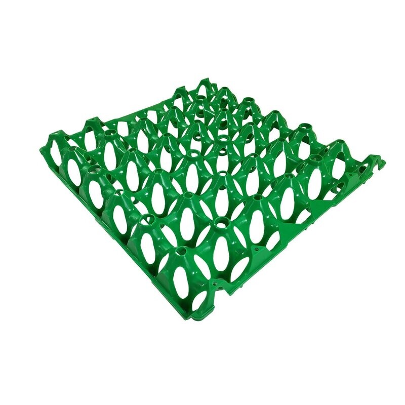Plastic Egg Tray