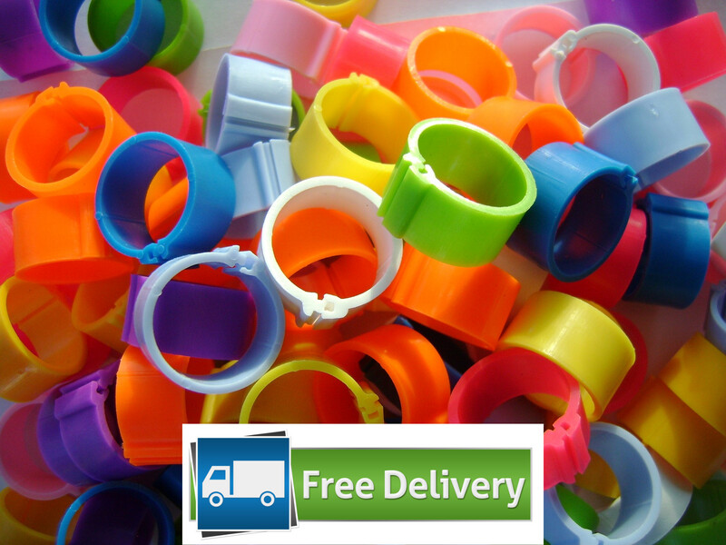 Clip Poultry Leg Rings 16mm (Pack of 100) MIXED COLOURS