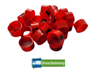 Numbered Poultry Leg Rings 12mm (Pack of 25) RED