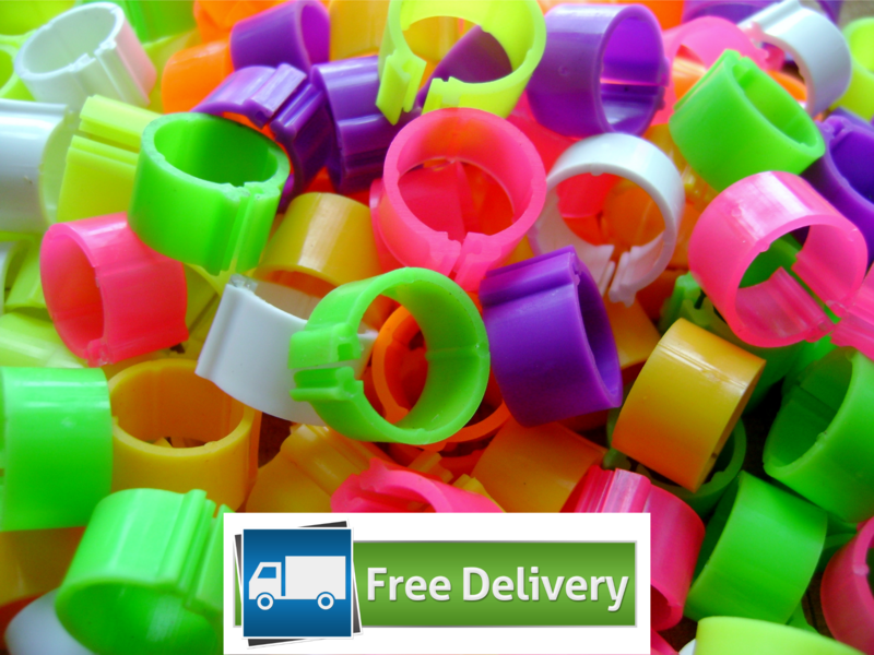 Clip Poultry Leg Rings 10mm (Pack of 10) MIXED COLOURS
