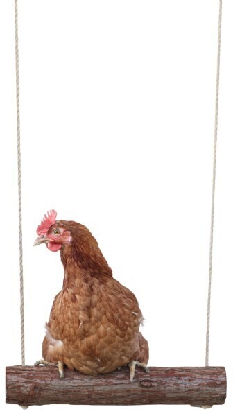 Kerbl Chicken Swing