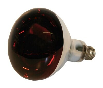 Kerbl Infrared Bulb 150 Watt (for Heat Lamp)