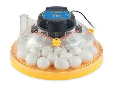 Incubators and Hatching
