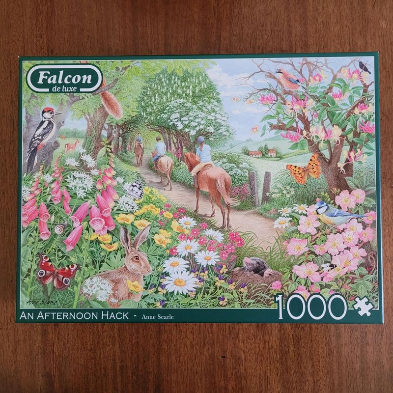 Jigsaw Puzzle, 1000 pieces, An Afternoon Hack (Used)