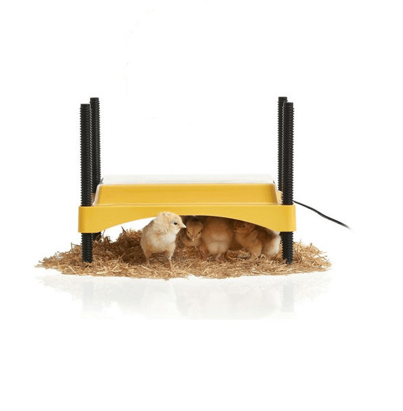 Brinsea EcoGlow Safety 600 Chick Brooder (UK version)