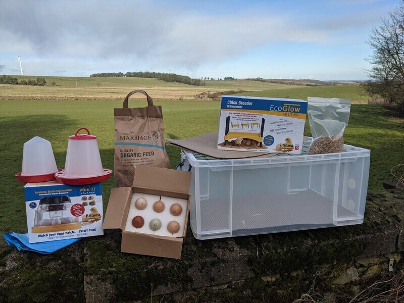 Automatic Incubator and Brooder Kit