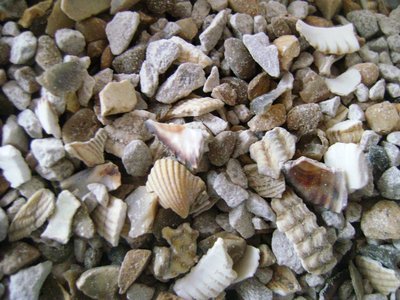 Mixed Poultry Grit 25kg