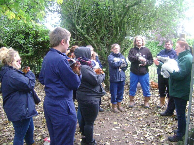 Keeping Chickens for Beginners Course: 6th SEPTEMBER 2026