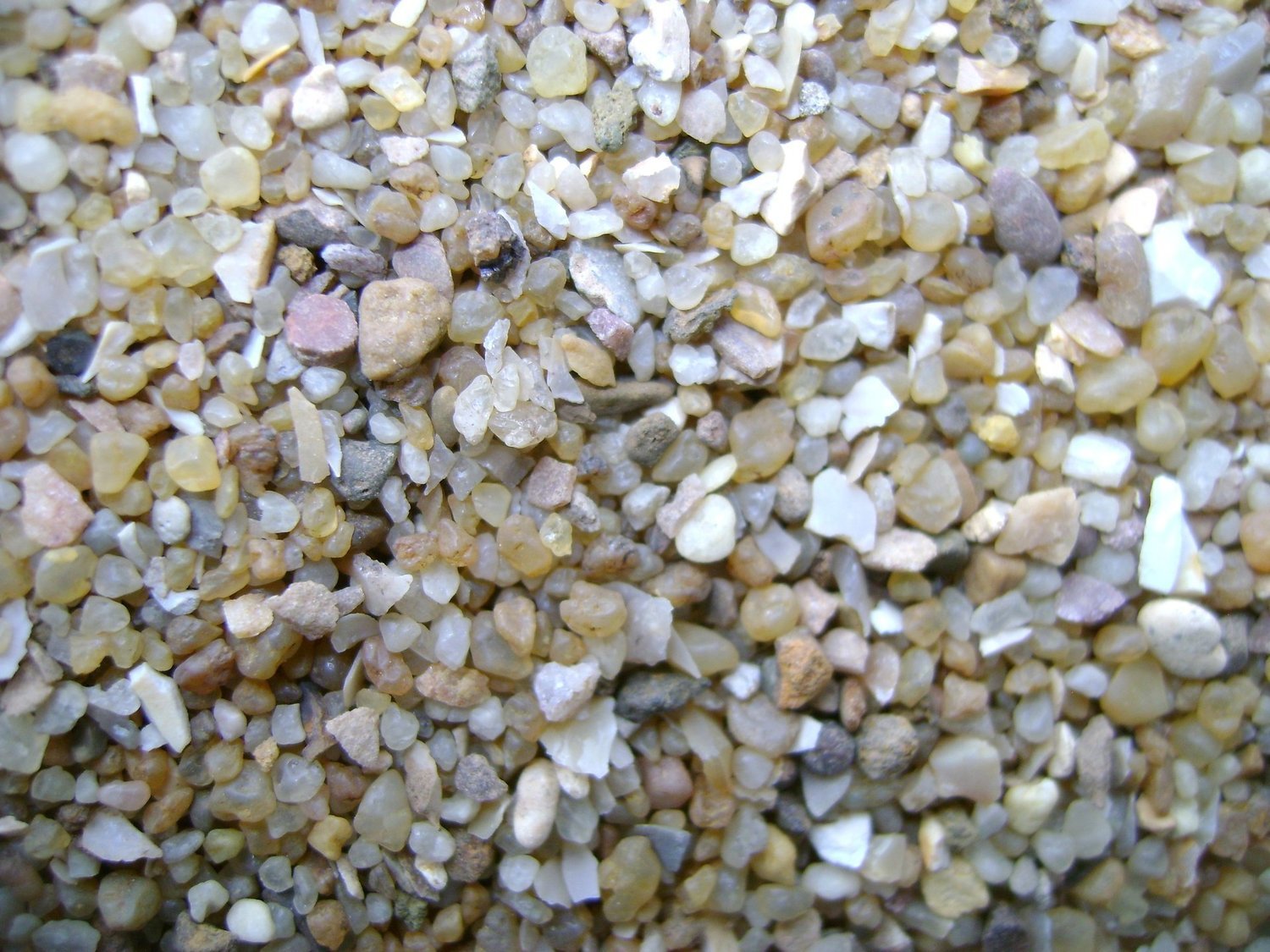 Chick Flint Grit 1kg