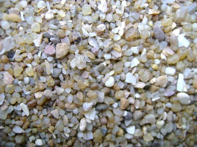 Chick Flint Grit 1kg