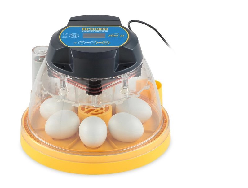 Brinsea Mini II Advance Automatic Incubator