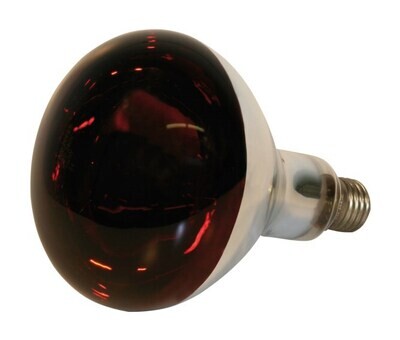 Kerbl Infrared Bulb 150 Watt (for Heat Lamp) Kerbl Infrared Bulb 150 Watt (for Heat Lamp)