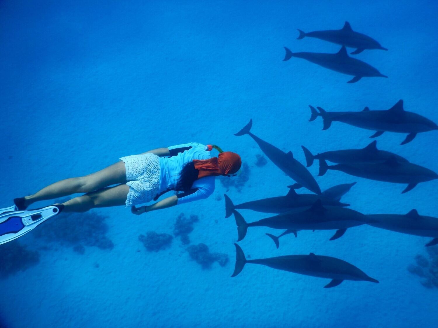 Egypt Journey full payment