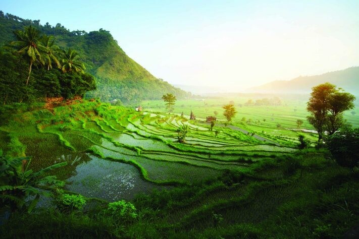 Bali