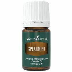 Spearmint / 5ml