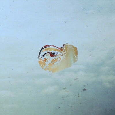 Karma Art: "Zebra" (LP) Karma Art: "Zebra" (LP)
