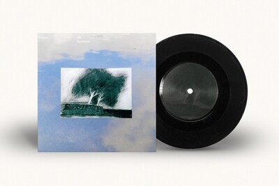 Leyya: "Someone / Fix it" (Double-Single 7")