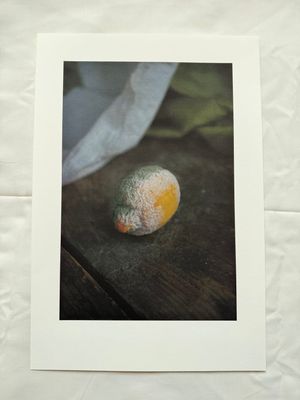 Mira Lu Kovacs - Album Print "I Care For You" (Einzelstück) Mira Lu Kovacs - Album Print "I Care For You" (Einzelstück)