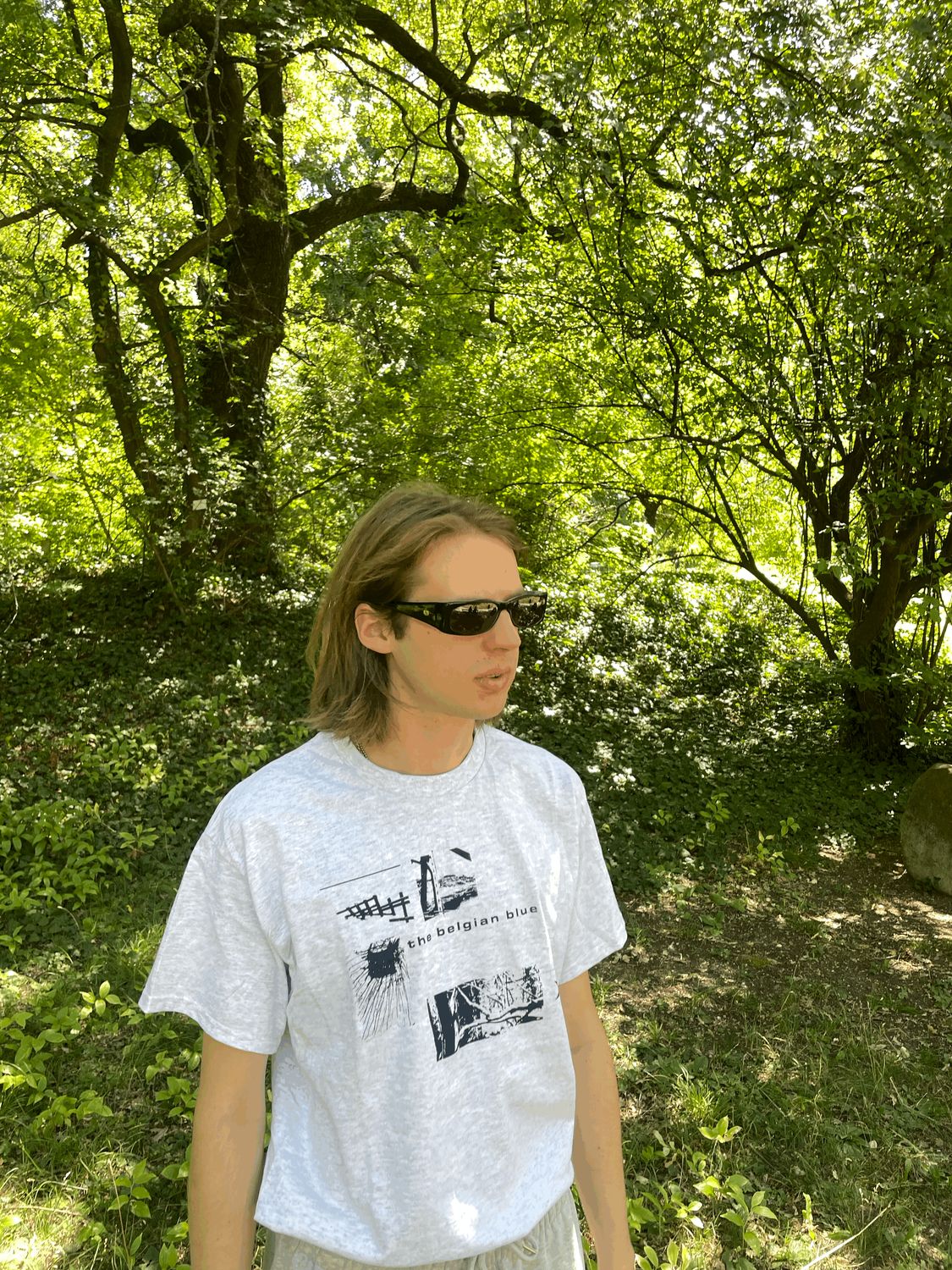The Belgian Blue: Grey T-Shirt