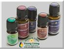 Tienda Virtual Young Living