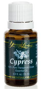 Acercamiento Aceite natural de cipres - 5 ml