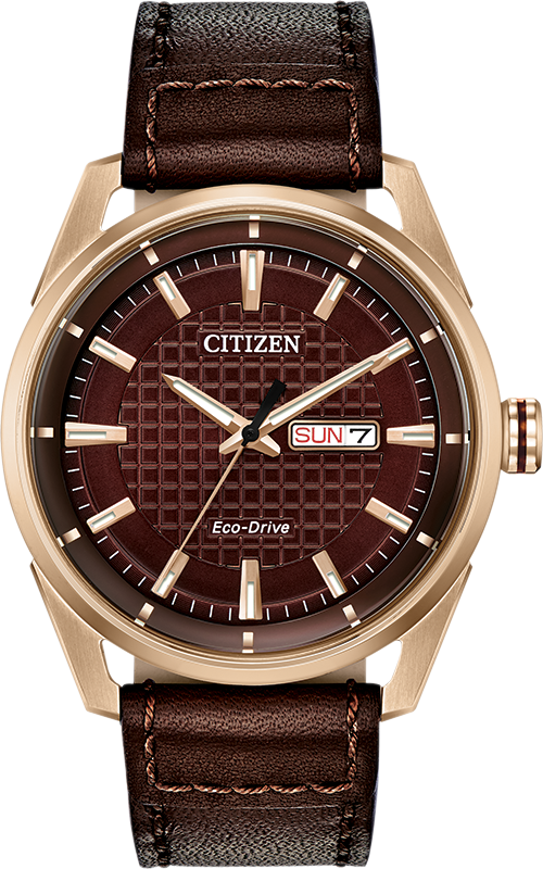 Citizen CTO - Check This Out Brown Dial 42MM Eco-Drive AW0083-08X