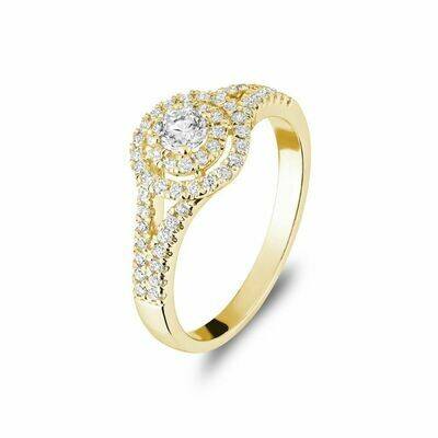 Double Halo Engagement Ring 0.50CTDI Yellow Gold Double Halo Engagement Ring 0.50CTDI Yellow Gold
