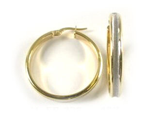 10K Yellow &amp; White Gold Hoop Earrings