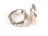 10K Yellow &amp; White Gold Polished Earrings