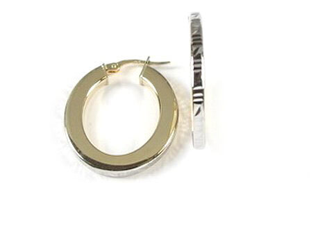 10K Yellow &amp; White Gold Hoop Earrings