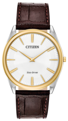 Citizen Stiletto White Dial 38MM Eco-Drive AR3074-03A