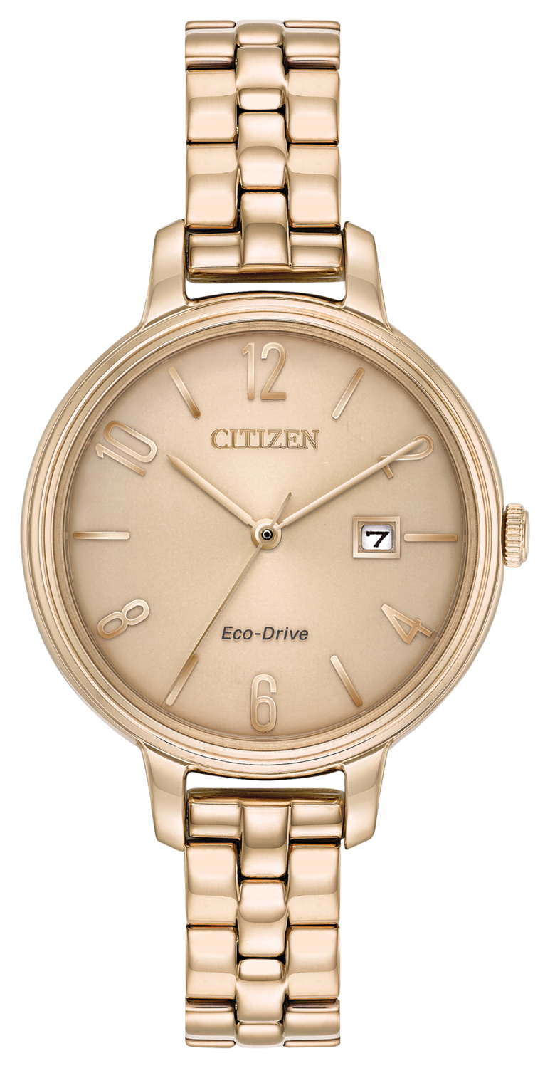 Chandler Brown Dial 31MM Eco-Drive EW2443-55X