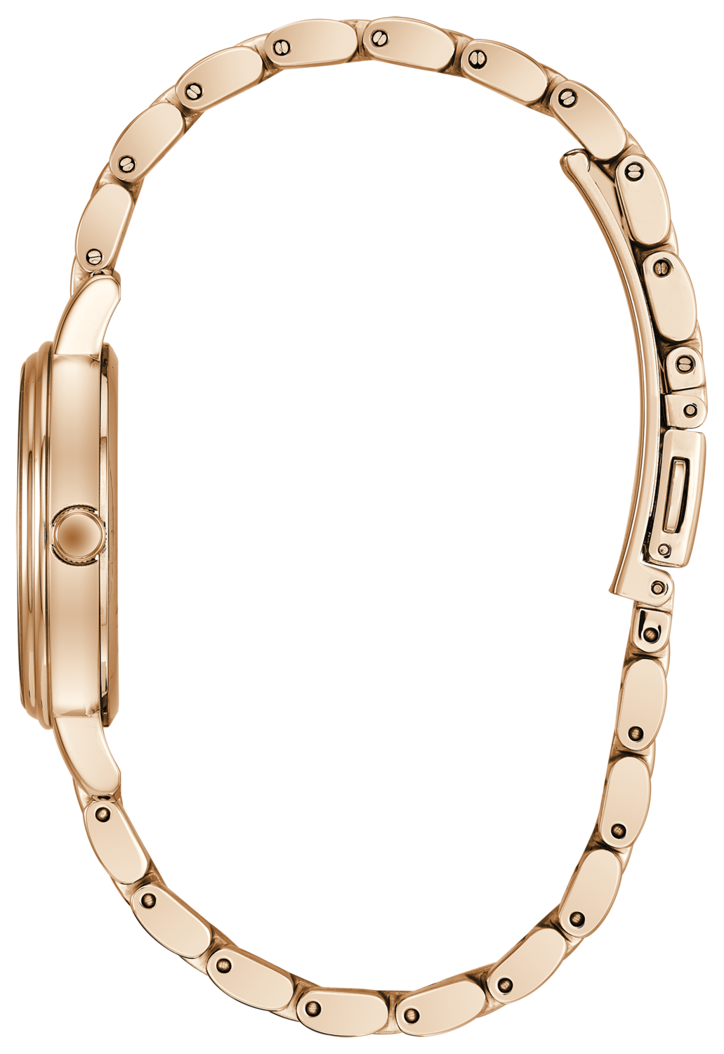 Chandler Brown Dial 31MM Eco-Drive EW2443-55X