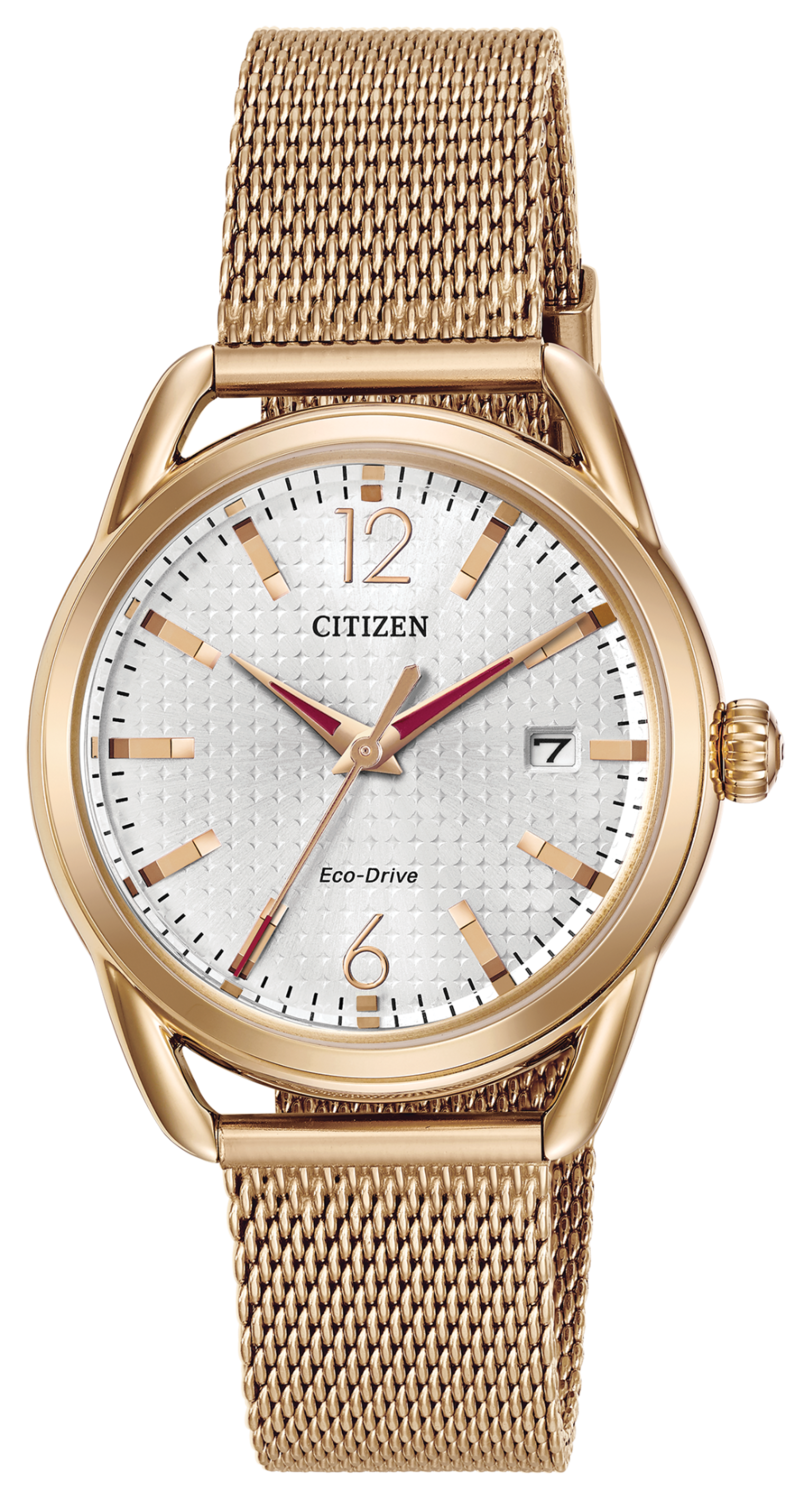 LTR - Long Term Relationship Silver Dial 
36MM Eco-Drive FE6083-72A