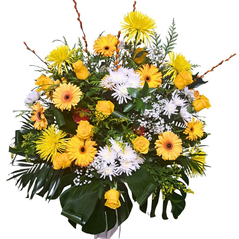 Centro Premium (1 cara)