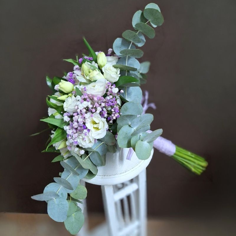 Ramo Inocencia