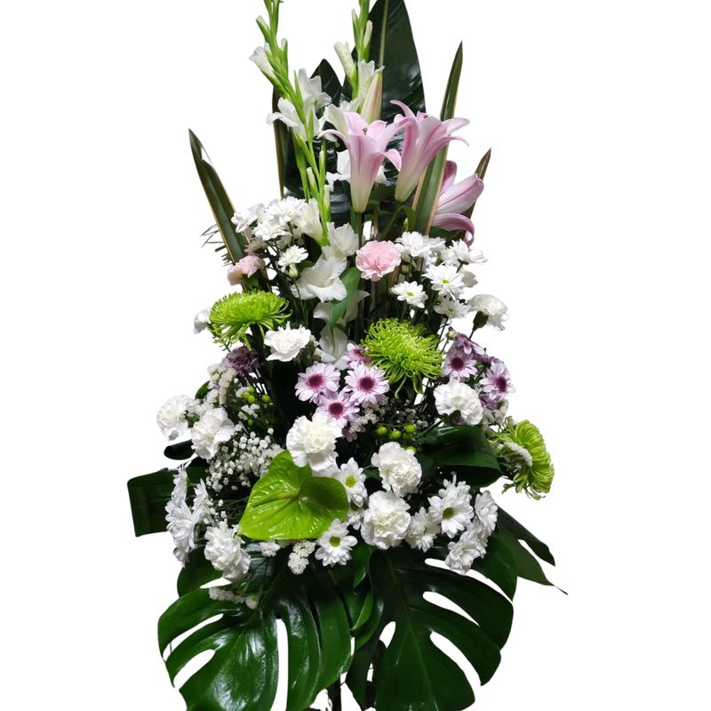 Centro Vertical Eternidad