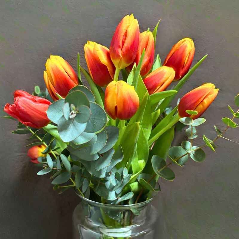 Tulipanes (individuales)