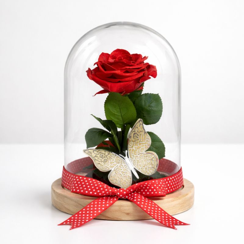 Cúpula Grande - Rosa Premium