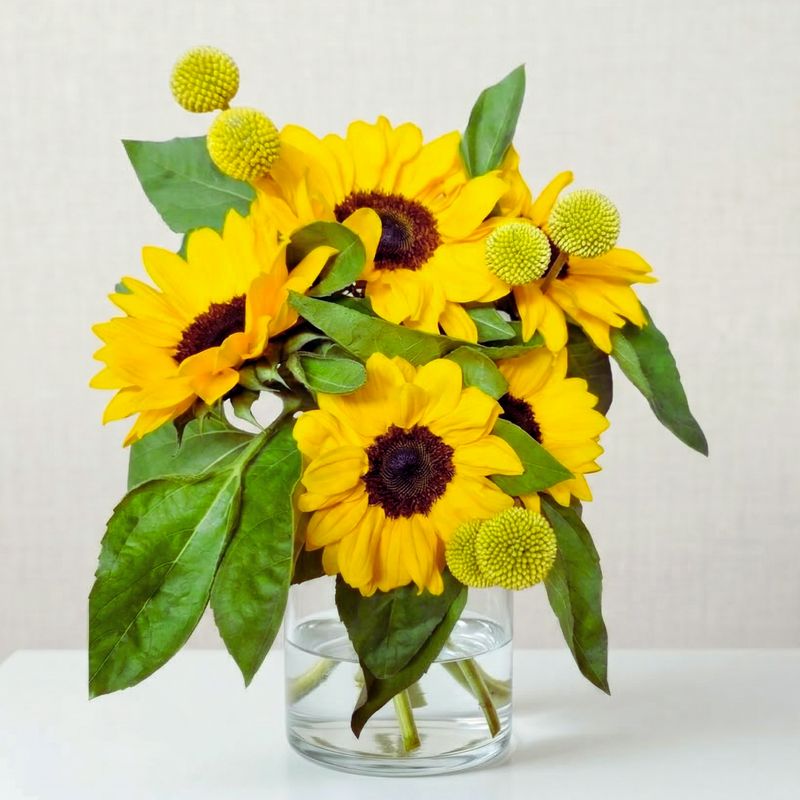 Girasoles y Craspedias