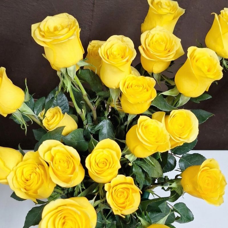Rosas Amarillas (individuales)