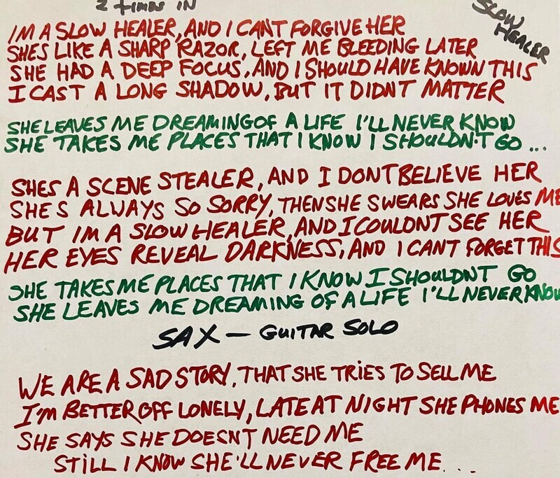 Slow Healer Digital Download