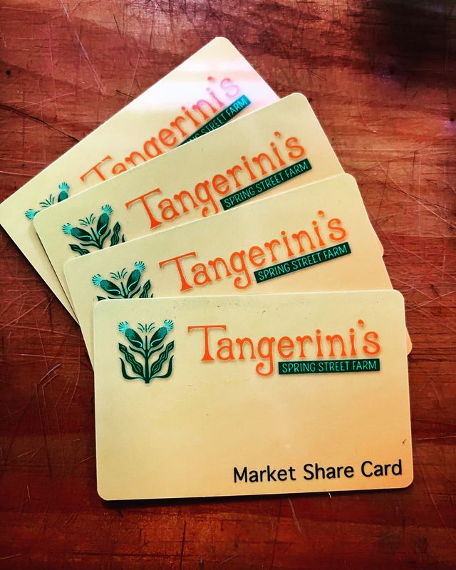 2026 Market Share Cards