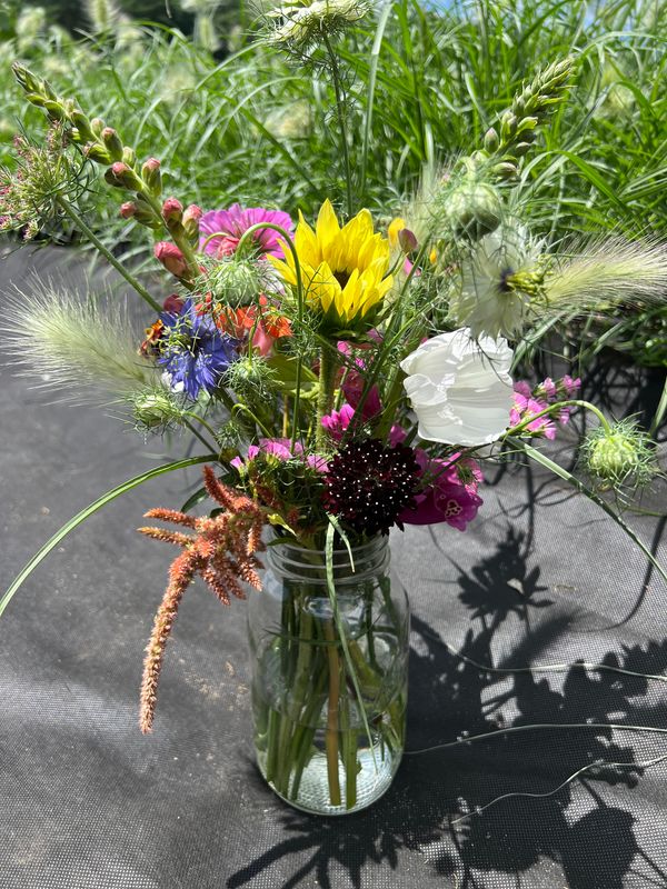 Sip &amp; Snip | August 13th, 2026 | 6pm