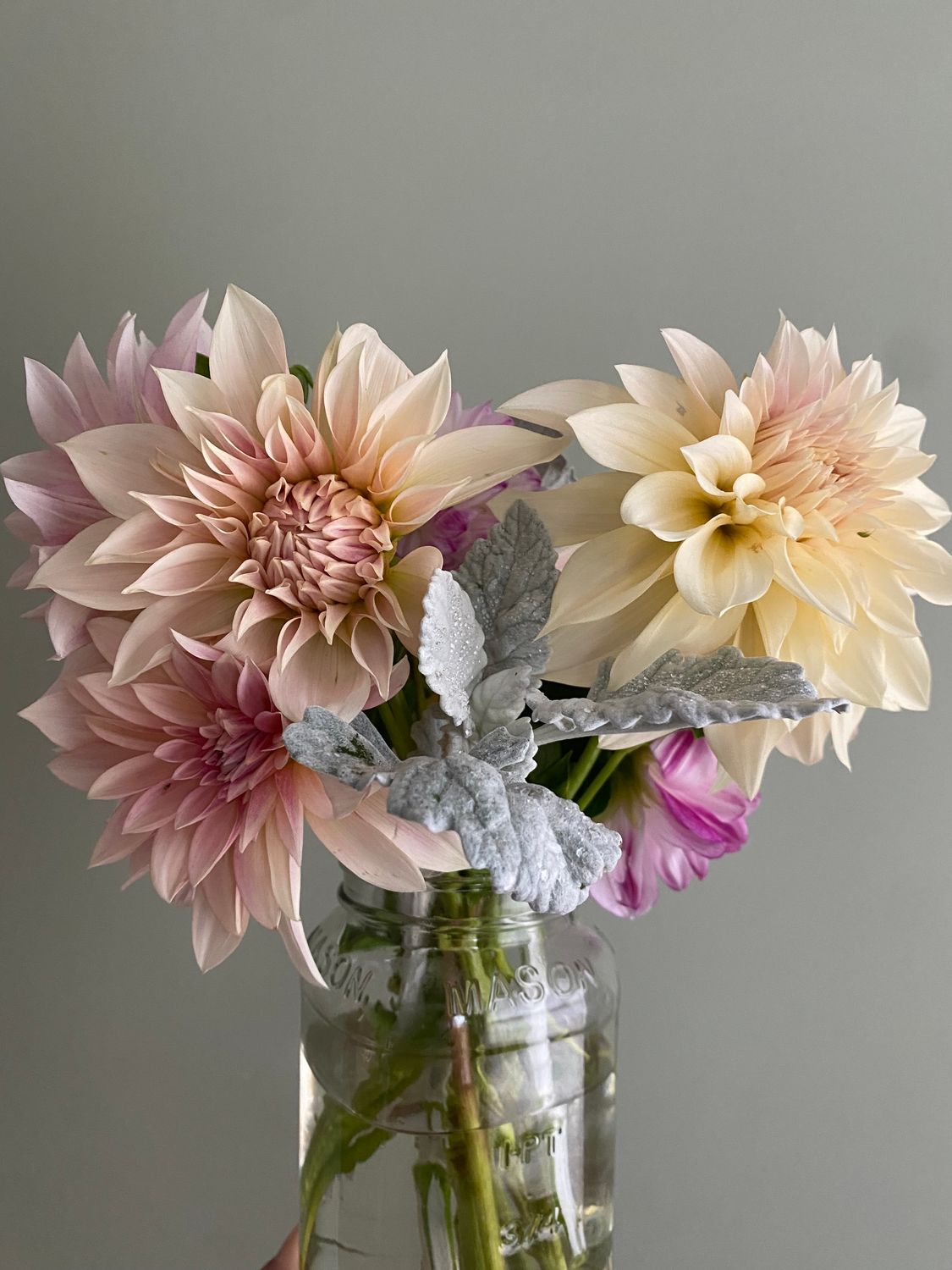 Sip &amp; Snip | July 23rd, 2026 | 6pm