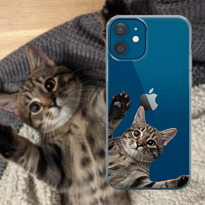 Cover Animale domestico