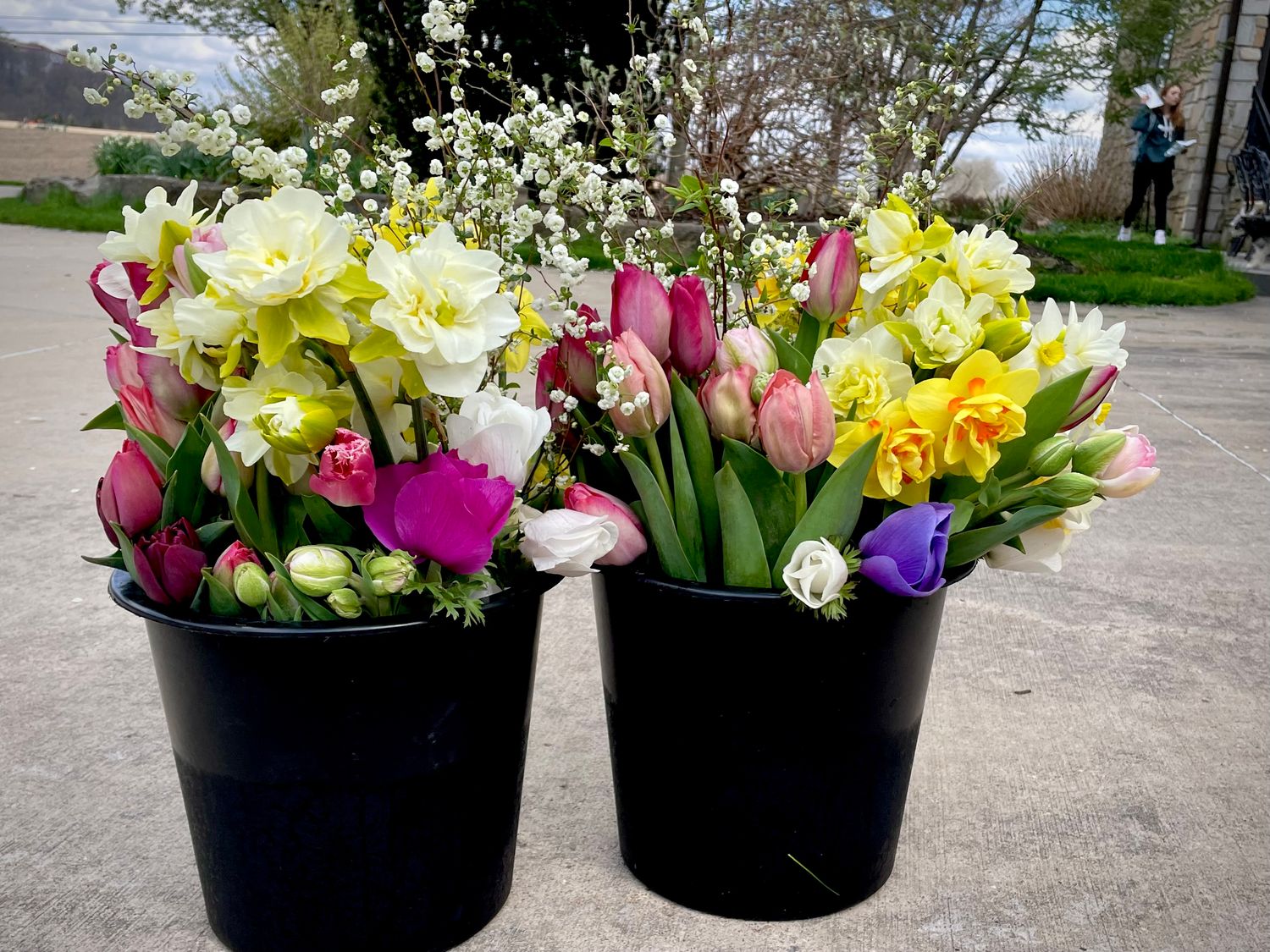 Spring Designer's Special CSA